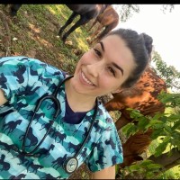 Ana Beatriz Stopassoli Benedet