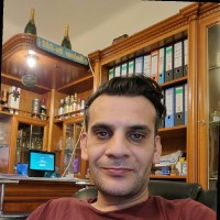 danel stanescu