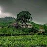 POOVIZHI E