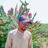 Abdul Malik