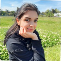 Gizem Danış