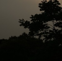 李怡然