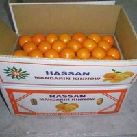 Hassan E