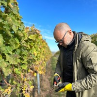 Jacob Wils Uhd Jepsen