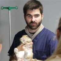 Daniel Castro