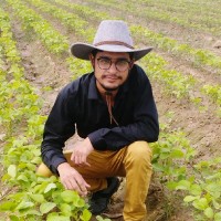 Saad Saeed