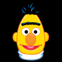 Bert Bylemans