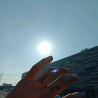 龙小保