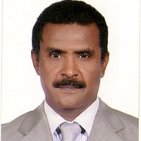 Asim Abdin Safty