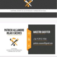 Patricio Rojas Caceres