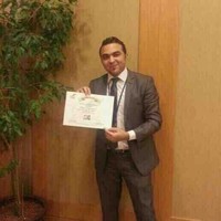 Wael Mohsen