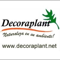 Decoraplant Alquiler de Plantas