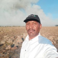 Vusi M.