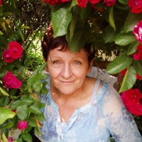 Gerry Van Der Aa