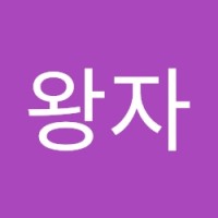아랍왕자