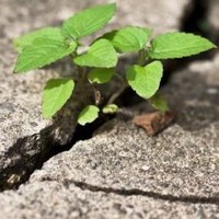 Learning and Development