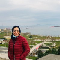 Rasha Talaat