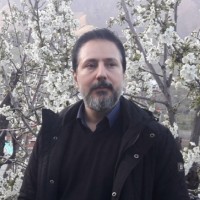 Mohammad Avestakh