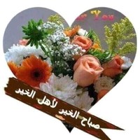 mostafa Meliani