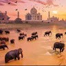 Manish Panwar