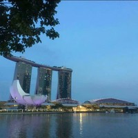 陈广杰