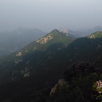 李康旭