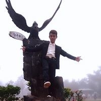 Đạo Phùng