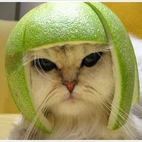QA Emoze