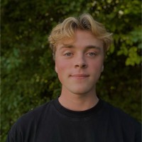 Friso de Koning