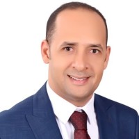Amer Mohamed El Sayed