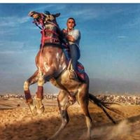 Ahmed Zakaria