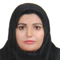 S Rahimi