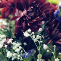 غندورة الحارثي