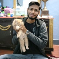 Mohd Amir