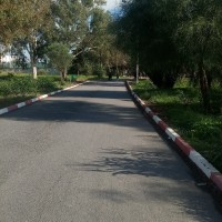 Abderrahman Grabsi