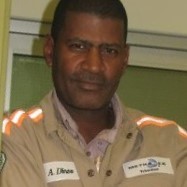 Albert Dinoo