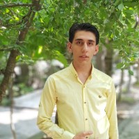 Erfan Kabourani