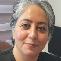 Neda Rabi