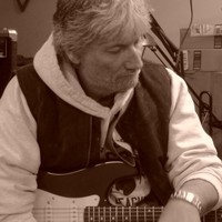 Greg Guitars LLC
