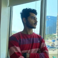 Aditya Pareek