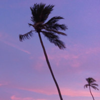 Ayres marques de oliveira