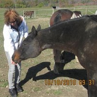 Ann Marie Hughes