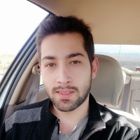 Reza Rouzeh