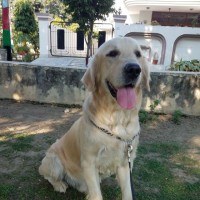 Rohit Datta