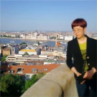 liu hui