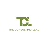 The Consulting Lead Llc