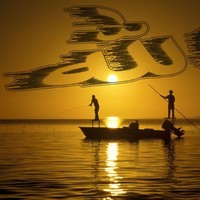 وائل حباري محمد احمد