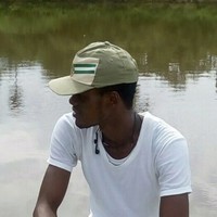 Michael Irabor