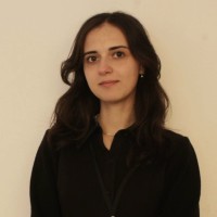Nergis Demir