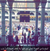 محمد الهلالي